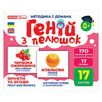Набір розвивальних карток Гінь із пелюшок Фрукти та ягоди Ранок 10107195У 17 карток KP, код: 8029686