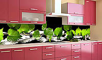 Наклейка виниловая кухонный фартук Zatarga Зеленые листья березы 600х2500 мм BM, код: 5567383