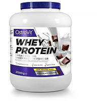 Протеин OstroVit Whey Protein 2000 g 66 servings Chocolate Dream DH, код: 7808988