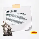 Сухий корм проти клубків шерсті для дорослих котів Josera Catelux Adult 2 кг, фото 4