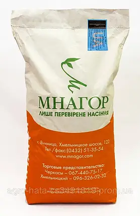 Джамала F1 100 000нас на 1,8га Мнагор суперсолодка цукрова кукурудза, фото 1