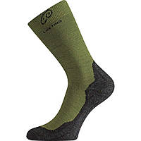 Шкарпетки Lasting WHI 699 Green (LST-WHI699L) PZ, код: 6456043
