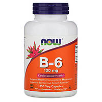 Пиридоксин NOW Foods Vitamin B-6 100 mg 250 Caps DH, код: 7518625