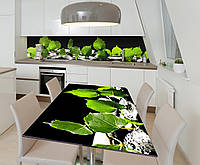 Наклейка виниловая на стол Zatarga Зеленые листья березы 650х1200 мм UL, код: 5567384