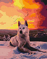 Картина по номерам BrushMe Арктический волк 40х50см BS35782 UP, код: 8265549