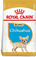 Сухой полнорационный корм для щенков Royal Canin Chihuahua Puppy породы чихуахуа возрасте от QT, код: 7581532
