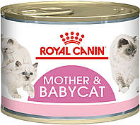 Влажный корм для новорожденныx котят Royal Canin Mother Babycat Cans 195 г (9003579311660) ( QT, код: 7581588