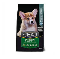 Сухой корм для собак Farmina CIBAU PUPPY MEDIUM с курицей 2.5 кг (8010276030931) QT, код: 7623973