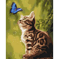 Картина по номерам Идейка Загадочная бабочка 40х50 см KHO4150 PZ, код: 8263874