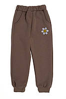 Спортивні штани для дівчаток 98 бежевий Yuki ЦБ-00230289 US, код: 8428956