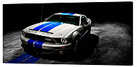 Картина на холсте Декор Карпаты Mustang 50х100 см (M804) QT, код: 962770