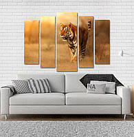 Модульна картина Poster-land Природа Тигр Art-172_5 UP, код: 6502139