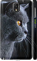 Пластиковый чехол Endorphone Samsung Galaxy Note 3 N9000 Красивый кот (3038c-29-26985) PR, код: 7500822
