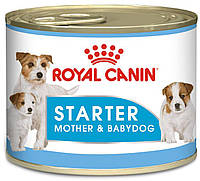 Влажный корм для новорожденныx собак Royal Canin Starter Mouse 0.195 кг (9003579311462) (4077 UP, код: 7581481