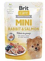 Вологий корм для собак Brit Care Mini pouch філе в соусі лосось і кролик 85 г (8595602534432) UP, код: 7620687