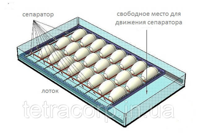 Устройство механического переворота яиц в инкубаторе