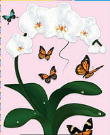 Наклейка інтер'єрна 29 Label a picture Орхідея UP, код: 7673413