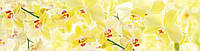 Наклейки кухонный фартук Zatarga Нежные желтые орхидеи 600х2500 мм Желтый (Z180250) EV, код: 1927048