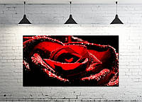 Картина на холсте ProfART S50100-c12 100 x 50 см Роза (hub_uXJS37085) UP, код: 1225070