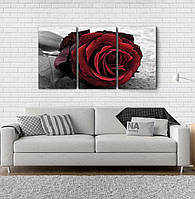 Модульна картина Poster-land Троянда Art-32_3А PZ, код: 6502909