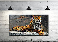 Картина на холсте ProfART S50100-z649 100 х 50 см Леопард (hub_IsYV53032) UP, код: 1225505