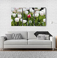 Модульна картина Poster-land Квіти Тюльпани Аrt-134_3А PZ, код: 6503079