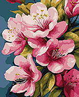 Картина по номерам Яблочные цветы 40 х 50 Artissimo PN4305