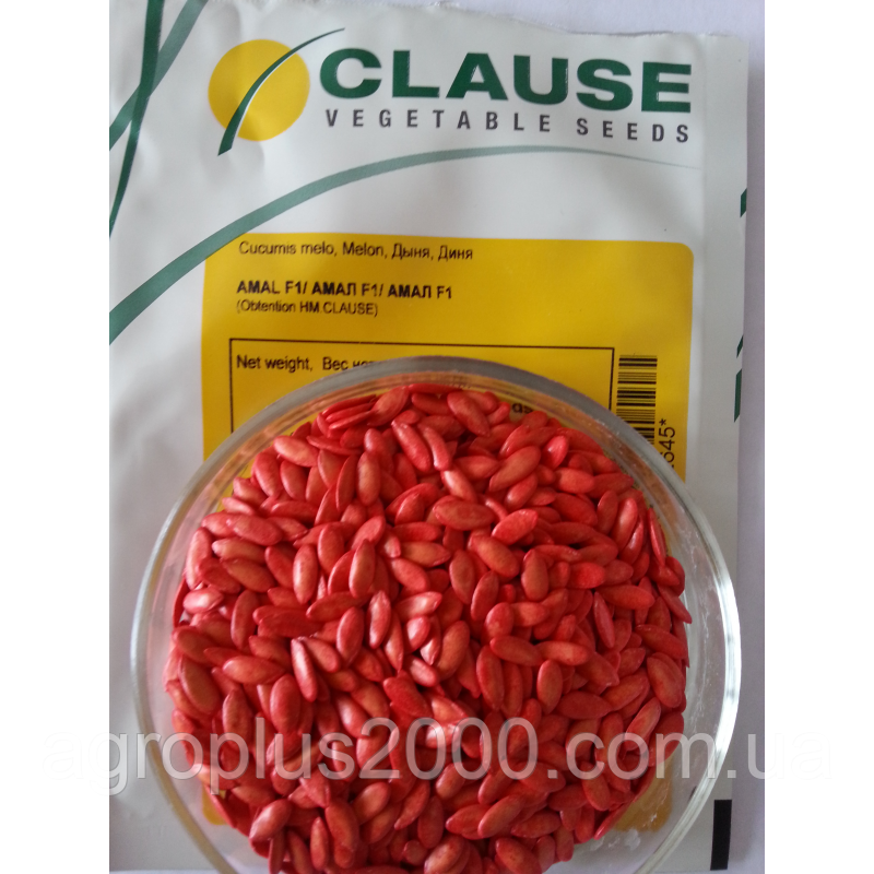 Насіння Диня Амаль F1 поштучно 10 насіння Clause