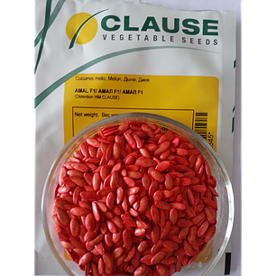 Насіння Диня Амаль F1 поштучно 10 насіння Clause, фото 1