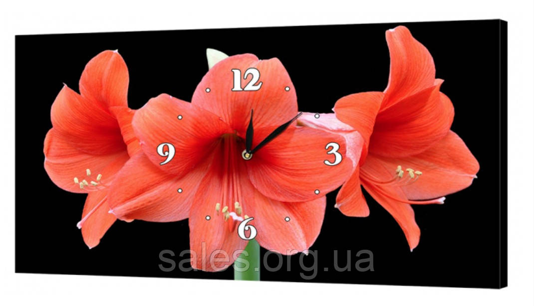 Настінний годинник на полотні 30 x 53 см Квіти (19_S) SC, код: 1225734