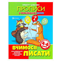 Гр Зошит-шаблон. А5 укр мова школа 9789663414195 ish