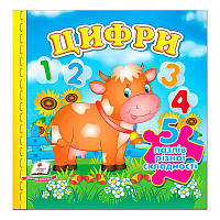 Гр Книга "Цифри НОВ " 9789664669136 /укр/ "Пегас" ish