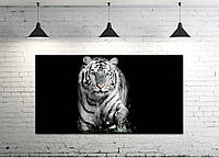 Картина на холсте ProfART S50100-z406 100 х 50 см Белый тигр (hub_DWPS92728) ET, код: 1225727