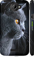 Пластиковый чехол Endorphone HTC One X Красивый кот (3038c-42-26985) AG, код: 7500887