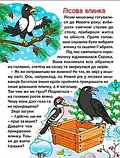 Казки ферми та лісу. Велика книга, фото 6
