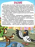 Корисні казки. Фіолетова, фото 3
