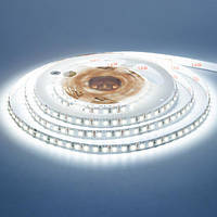 Світлодіодна LED стрічка 5мм 9,6Вт/м 120 LED/м IP20 AVT 600CW3528-9,6W-12 холодний білий (5м)