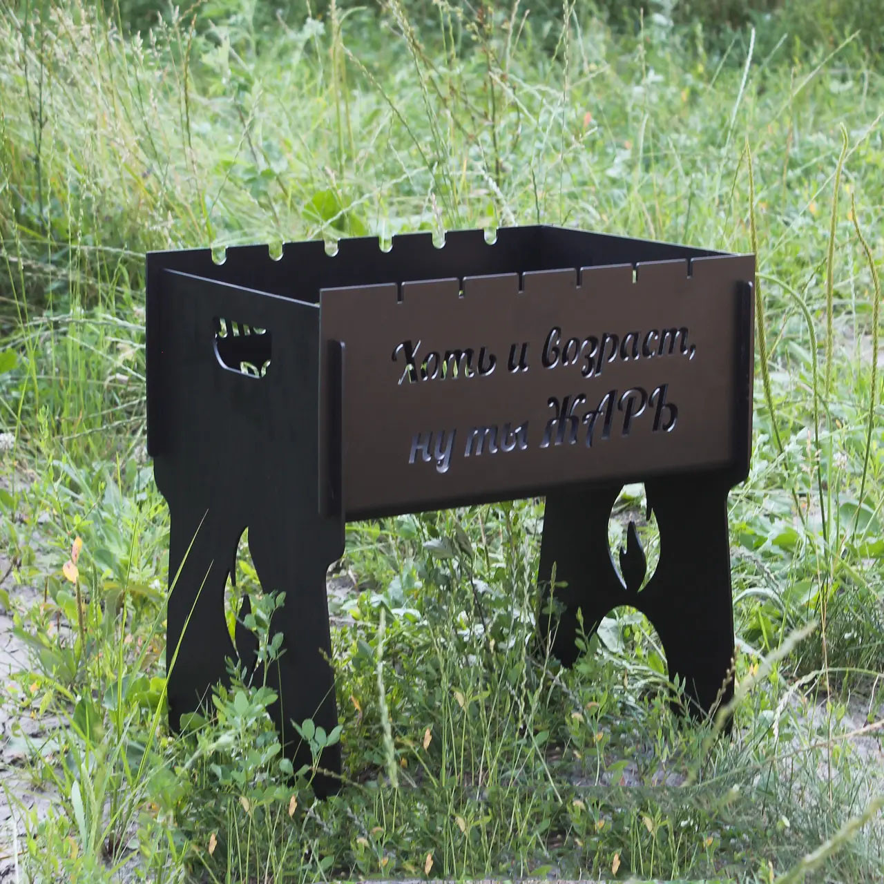 Мангал на 8 шт розбірний з індивідуальним гравіюванням - ХОЧ І ВІК НУ ТИ ЖАР. Розмір – 500х300х440 мм, фото 1