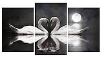 Модульная картина Декор Карпаты 100х53 см Лебеди под луной (M3-t30) DH, код: 184296