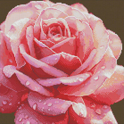 Алмазна мозаїка без підрамника - Досконала троянда