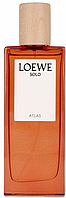 Парфюмированная вода Loewe Solo Atlas для мужчин и женщин - edp 100 ml tester