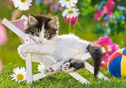 Пазли 120 елементів МіДі 12671 Котик, Castorland