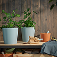 Квітковий горщик VITLOK IKEA 205.607.07, фото 4