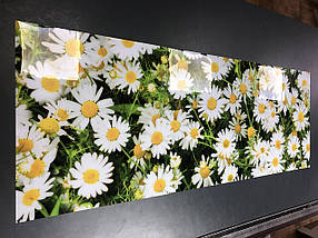 Покриття для підвіконня, м’яке скло з фотодруком 35х100 см ПО-pol_fl156, фото 3