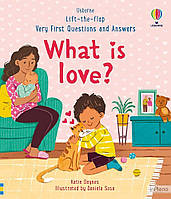 Daynes, K. Very First Questions and Answers: What is love?