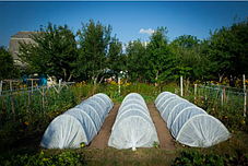 Парник, агро-теплиця - 3м з агроволокна "Щедрий урожай"  з ультрафіолетовим стабілізатором, щільністю 42г/м2, фото 2
