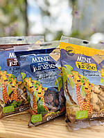 Печиво з шоколадом Mini Jungle Bio Ania, 100г