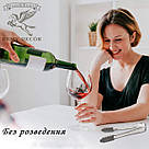 Набір кубиків для охолодження срібла REMY-DECOR комплект 12 шт. каменів та щипчики нержавіюча сталь, фото 9