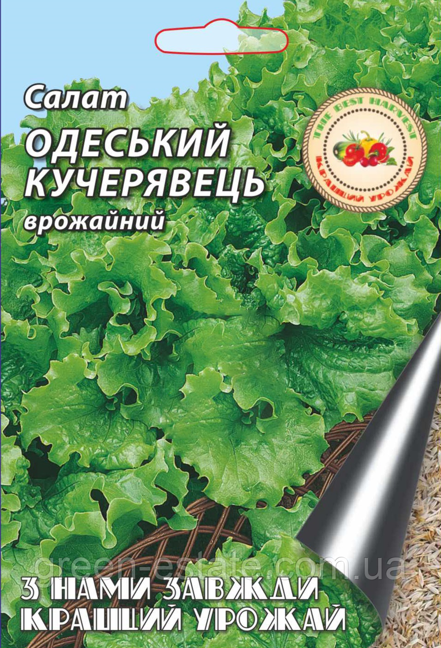 Салат Одеський кучерявець королівський 10 г.