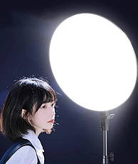 Кільцева (кругла) LED-лампа BD-HP-19 – 45см, + штатив + пульт, 120 Вт. - для фото та відео, фото 2
